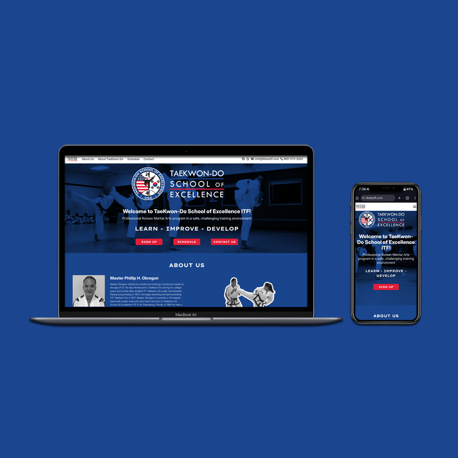 TaeKwon Do School of Excellence brand guidelines pages